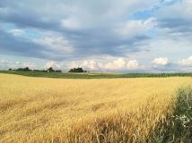 Działka budowlana Ojrzanowo. Zdjęcie 1