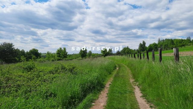 Działka inwestycyjna Rudno. Zdjęcie 6