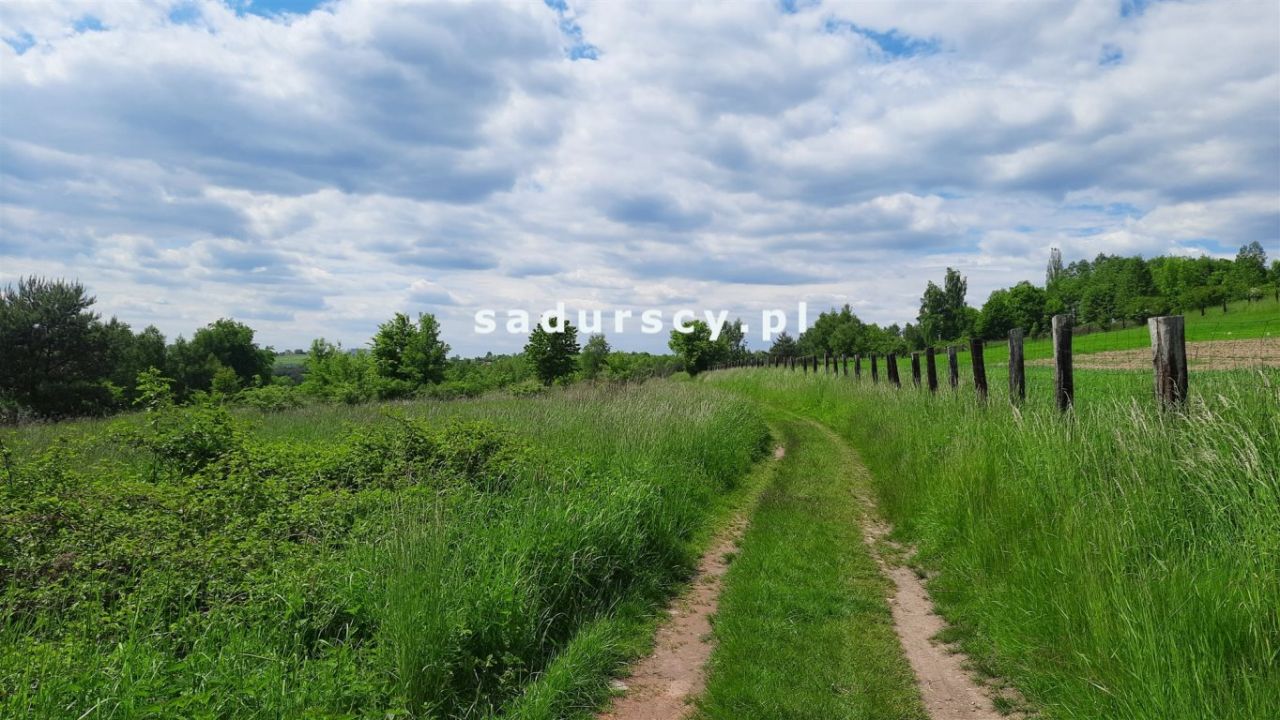 Działka inwestycyjna Rudno. Zdjęcie 6