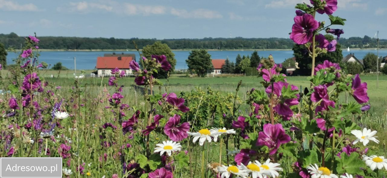 Działka rolno-budowlana Powidz, ul. Widokowa. Zdjęcie 6