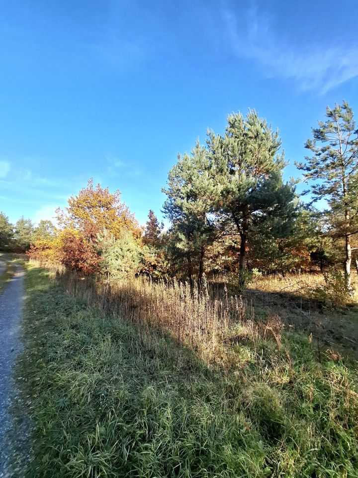 Działka budowlana Wólka Dworska. Zdjęcie 3