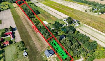 Działka siedliskowa Trzcianki