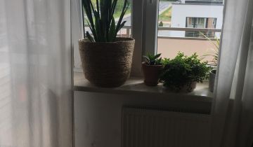 Mieszkanie 2-pokojowe Chełm Centrum, ul. Feliksa Nowowiejskiego