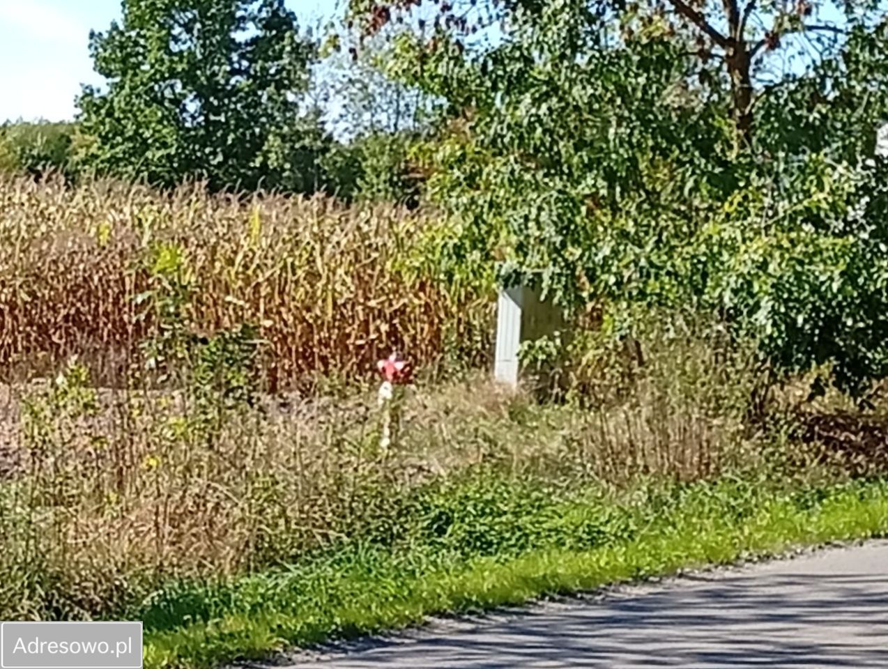 Działka Ratoszyn Pierwszy. Zdjęcie 4