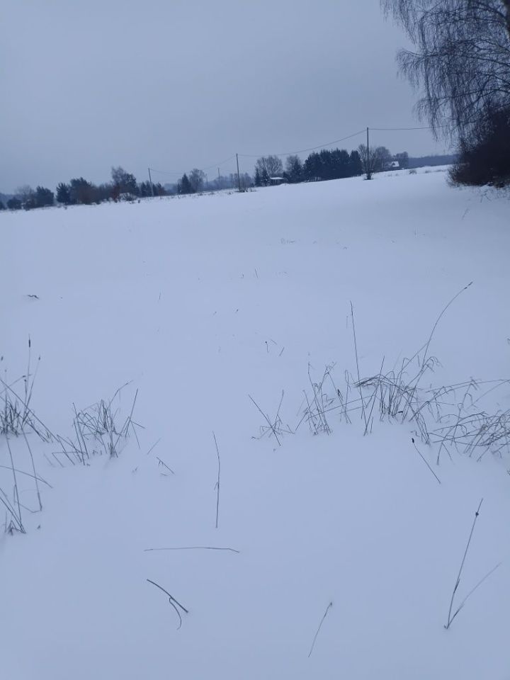 Działka rolno-budowlana Jedlina. Zdjęcie 2