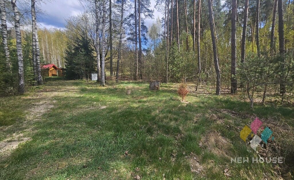 Działka leśna Świętajno, ul. Grunwaldzka. Zdjęcie 8