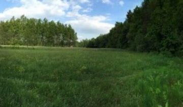 Działka budowlana Łaziska Górne Brada, ul. Pszczelna
