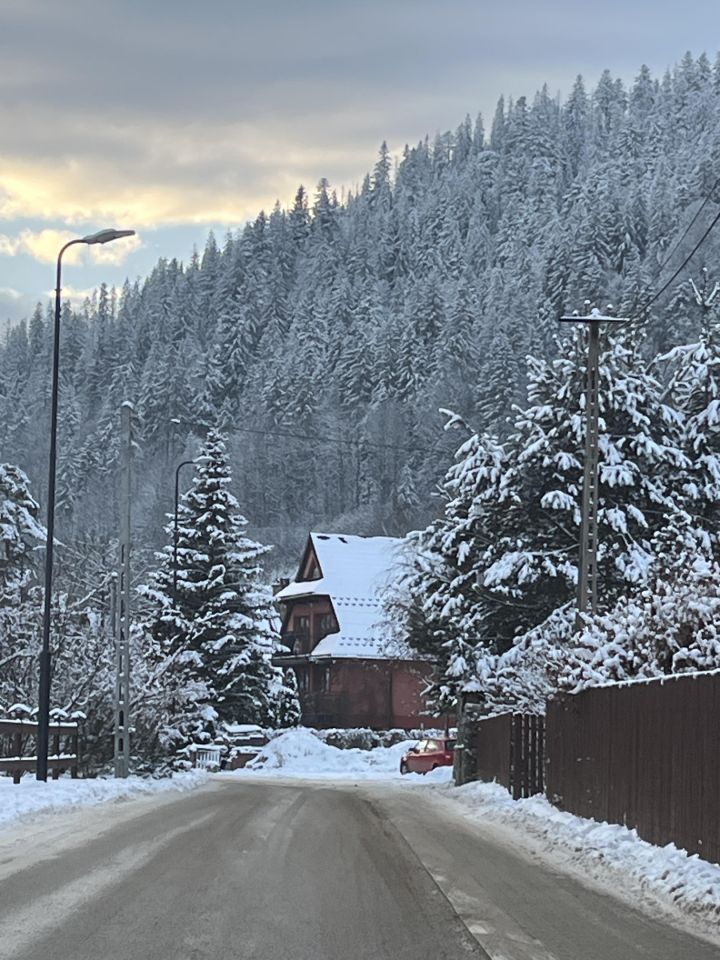 dom wolnostojący, 11 pokoi Zakopane Tatary, ul. Tatary. Zdjęcie 15