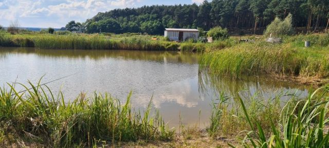 Działka rekreacyjna Przytok, ul. Sadowa. Zdjęcie 1