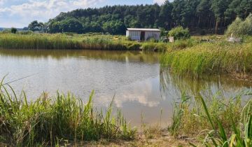 Działka rekreacyjna Przytok