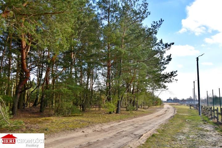 Działka budowlana Kozły. Zdjęcie 3