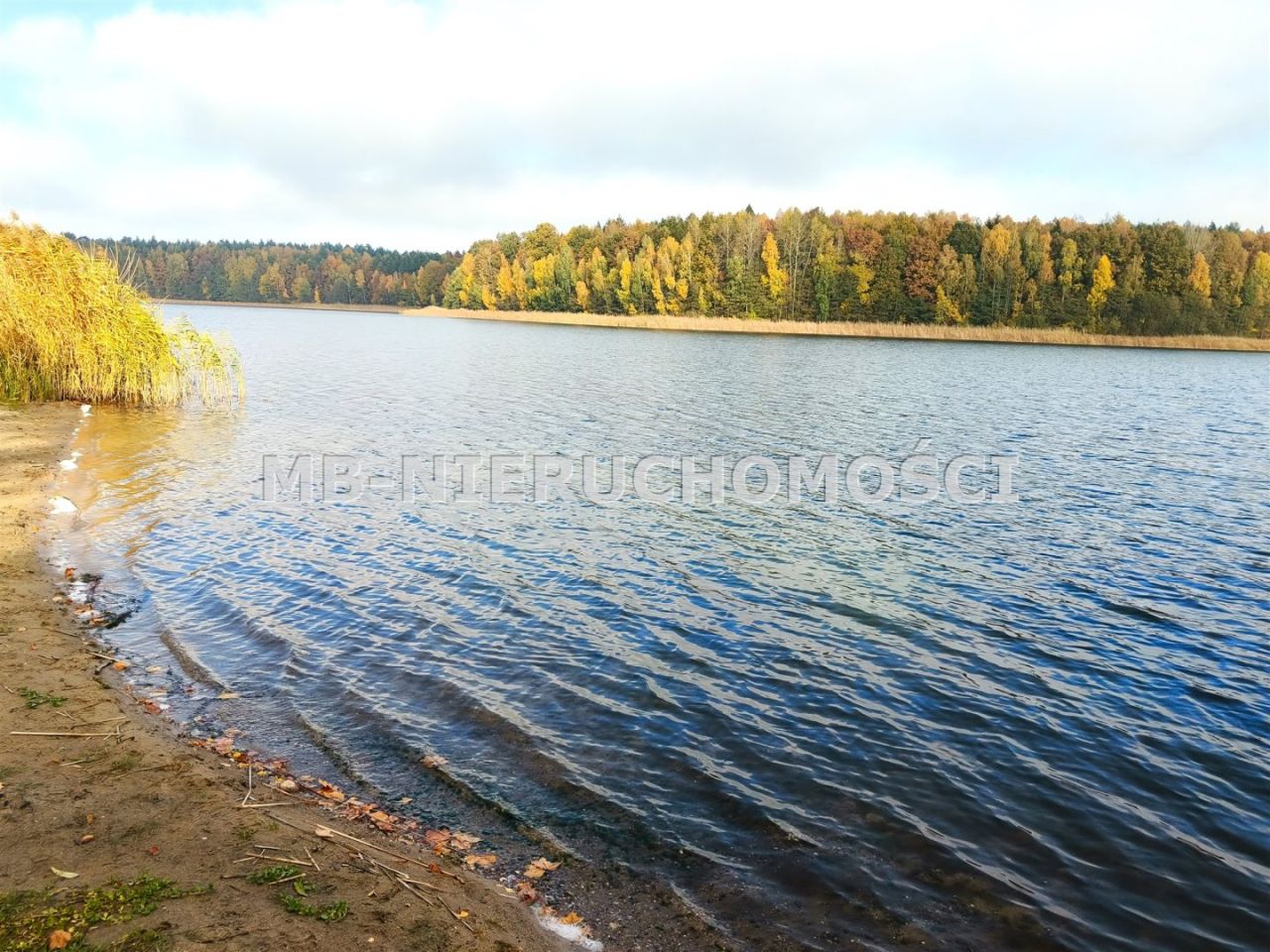 Działka inwestycyjna Gąsiorowo Olsztyneckie. Zdjęcie 7