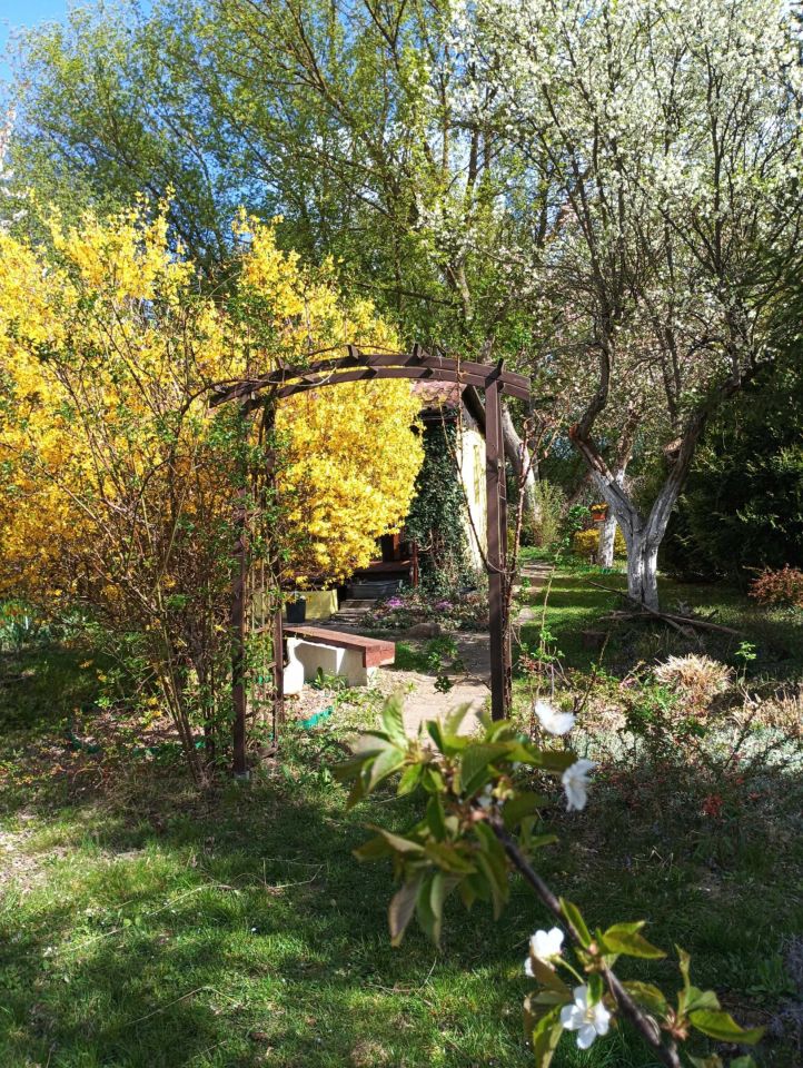 Działka rod Toruń. Zdjęcie 4