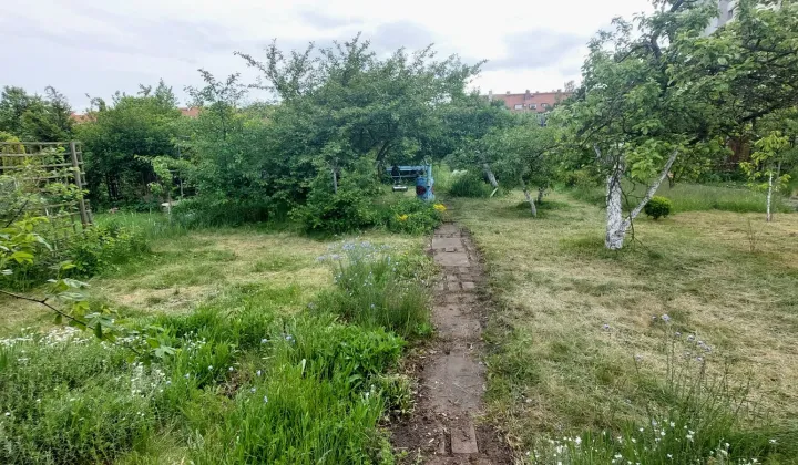 Działka rod Wrocław Śródmieście, ul. Ignacego Daszyńskiego