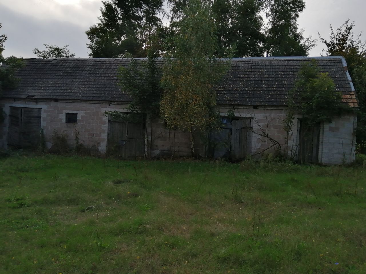 Działka siedliskowa Trzciniec Mały. Zdjęcie 8