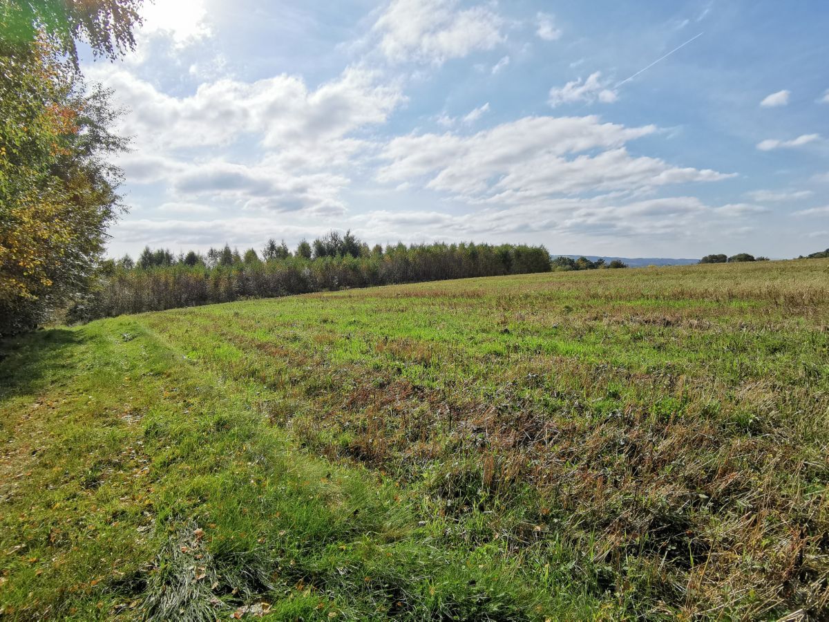 Działka budowlana Glinik Średni. Zdjęcie 7