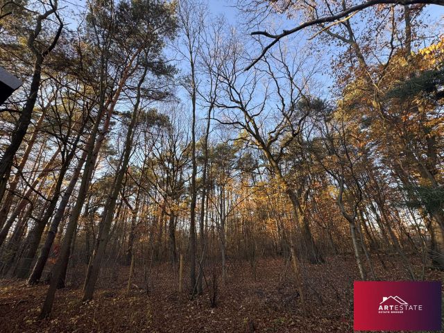 Działka budowlana Rąbień, ul. Rojna. Zdjęcie 8