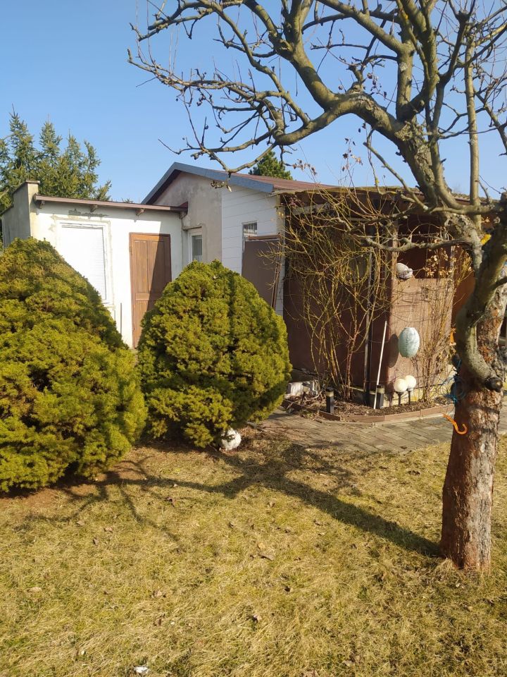 Działka rod Konstantynów Łódzki Żabiczki, ul. Krzywa. Zdjęcie 4