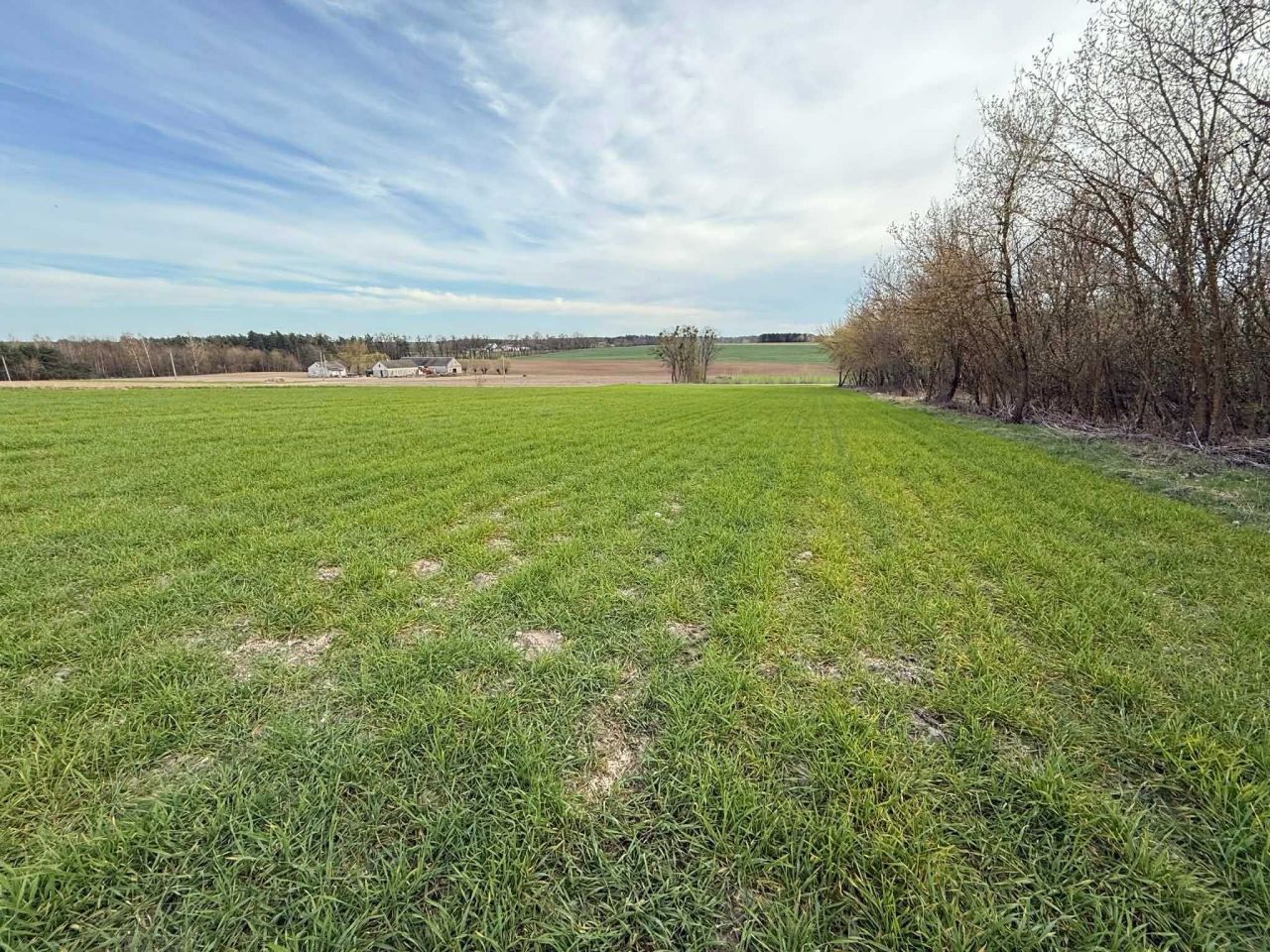 Działka budowlana Pomocnia. Zdjęcie 3