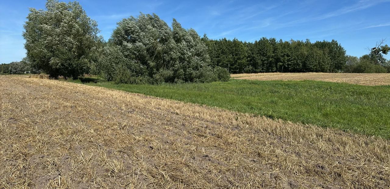 Działka rolno-budowlana Cyców-Kolonia Druga. Zdjęcie 16