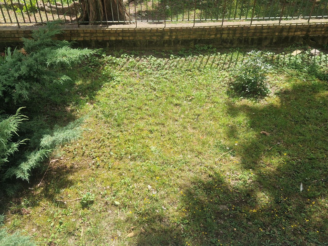 Mieszkanie 2-pokojowe Szczecin Centrum, ul. 1 Maja. Zdjęcie 15