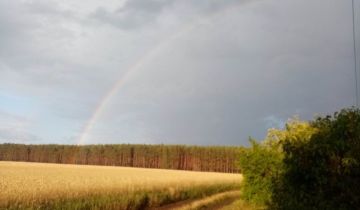 dom wolnostojący, 2 pokoje Wrzeszczyna