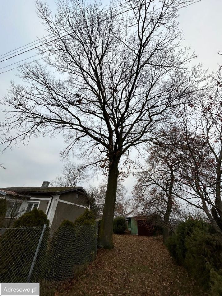 dom wolnostojący, 3 pokoje Damięty-Narwoty. Zdjęcie 8