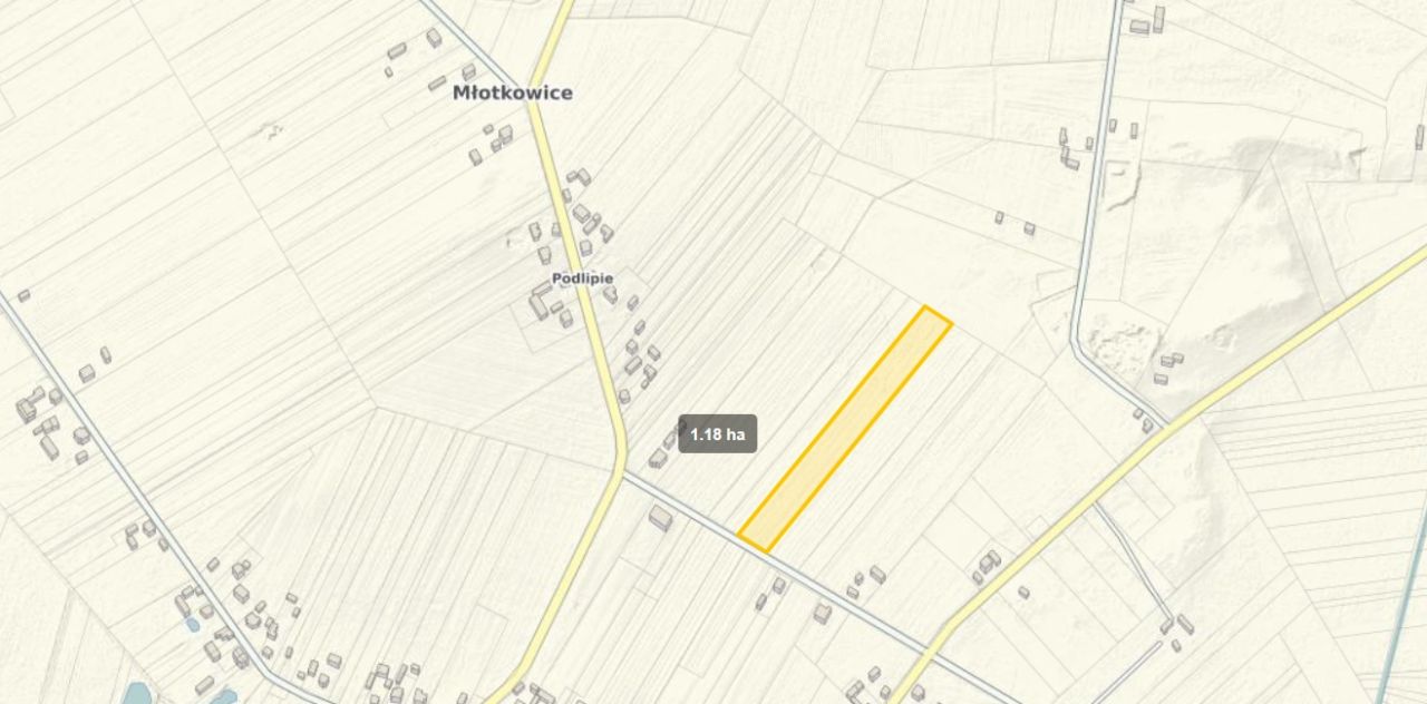 Działka rolna Młotkowice Podlipie. Zdjęcie 3