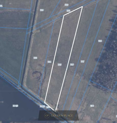 Działka rolna Kniewo. Zdjęcie 5