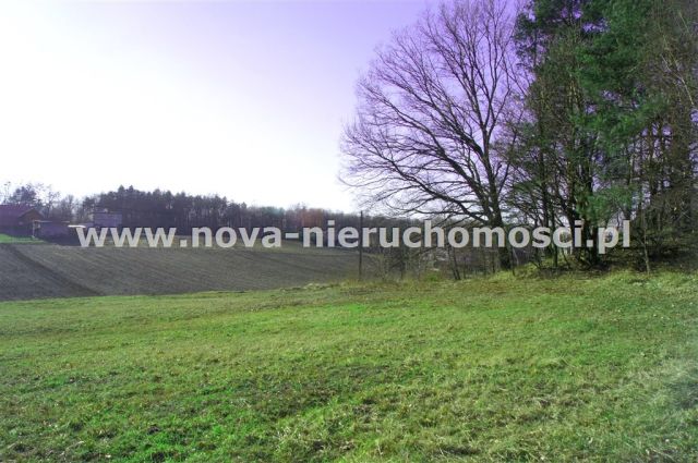 Działka rolno-budowlana Rybnik Ligota. Zdjęcie 2