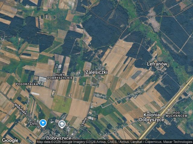 Działka leśna Zalesiczki, -. Zdjęcie 1