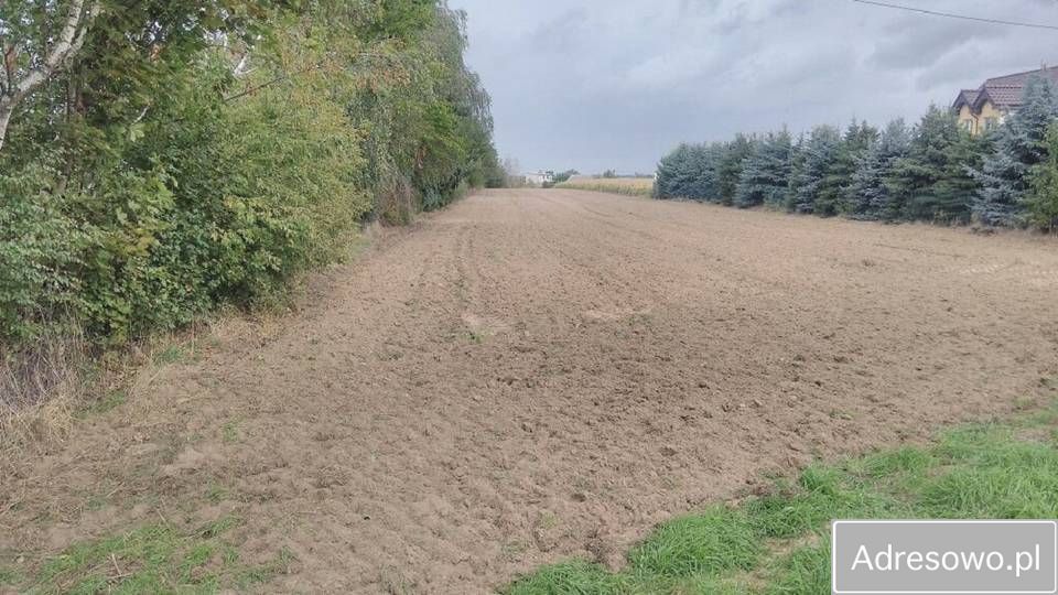 Działka rolna Jaraczewo. Zdjęcie 2