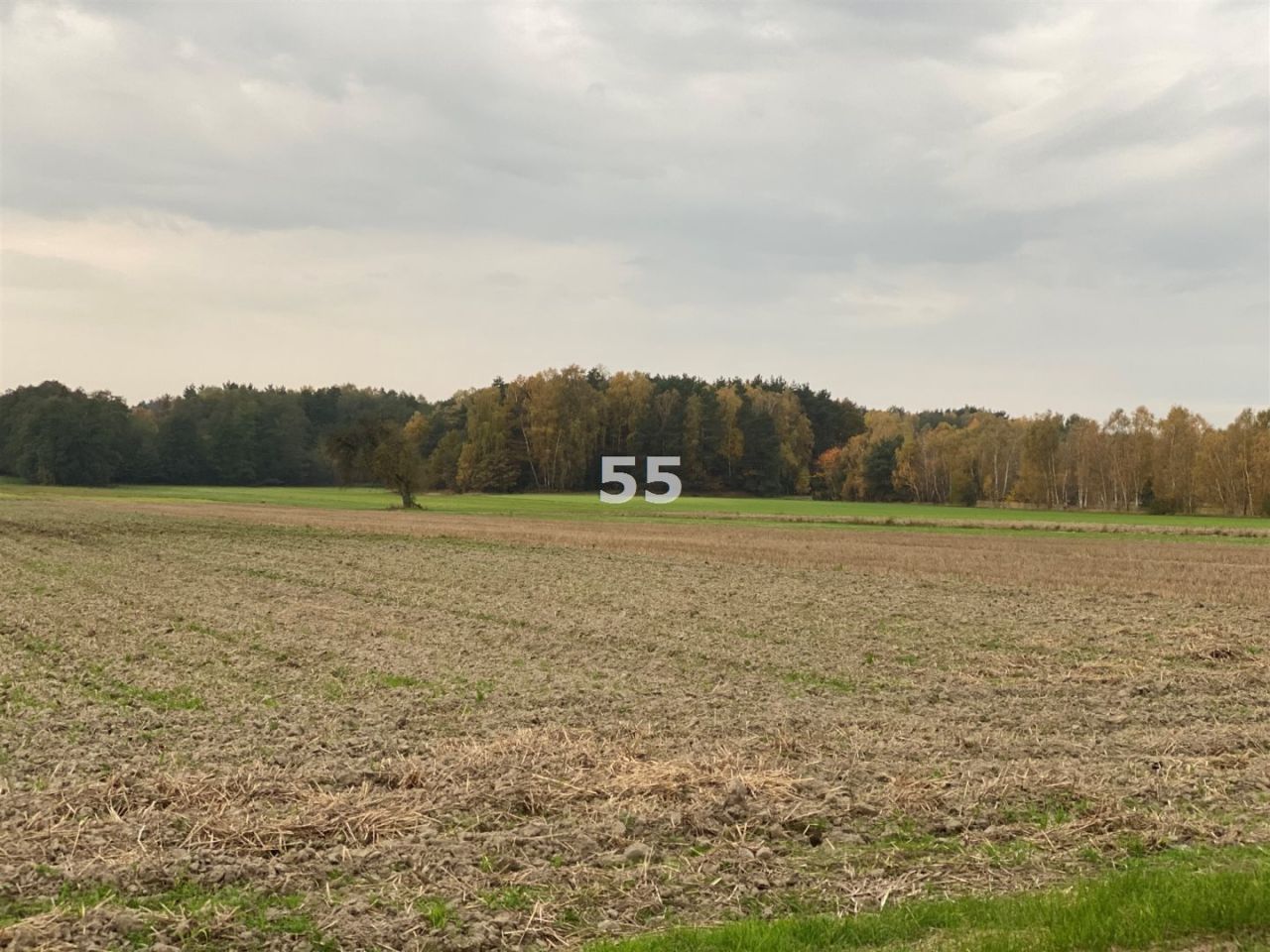 Działka siedliskowa Ślądkowice. Zdjęcie 5