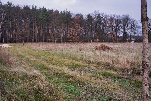 Działka budowlana Trzęsów. Zdjęcie 1