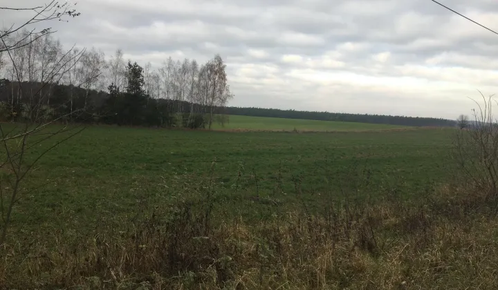 Działka rolna Dębówko