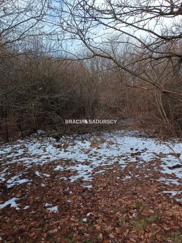 Działka inwestycyjna Czarnochowice. Zdjęcie 5