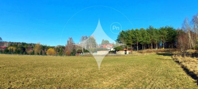 Działka budowlana Marcinkowo. Zdjęcie 5