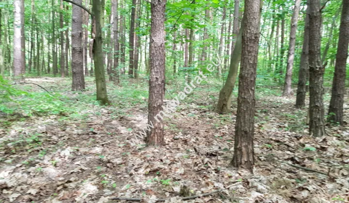 Działka budowlana Grzymek