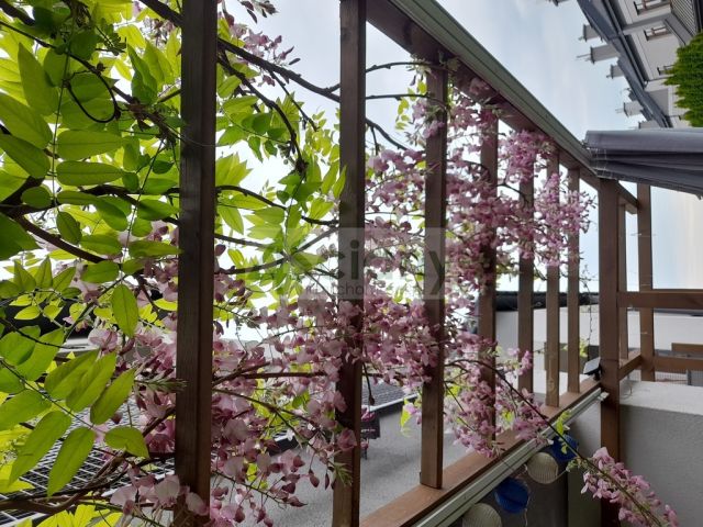 Mieszkanie 3-pokojowe Warszawa Ursynów, ul. Kądziołeczki. Zdjęcie 20