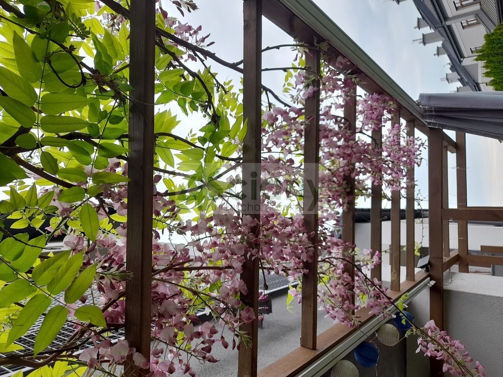 Mieszkanie 3-pokojowe Warszawa Ursynów, ul. Kądziołeczki. Zdjęcie 20