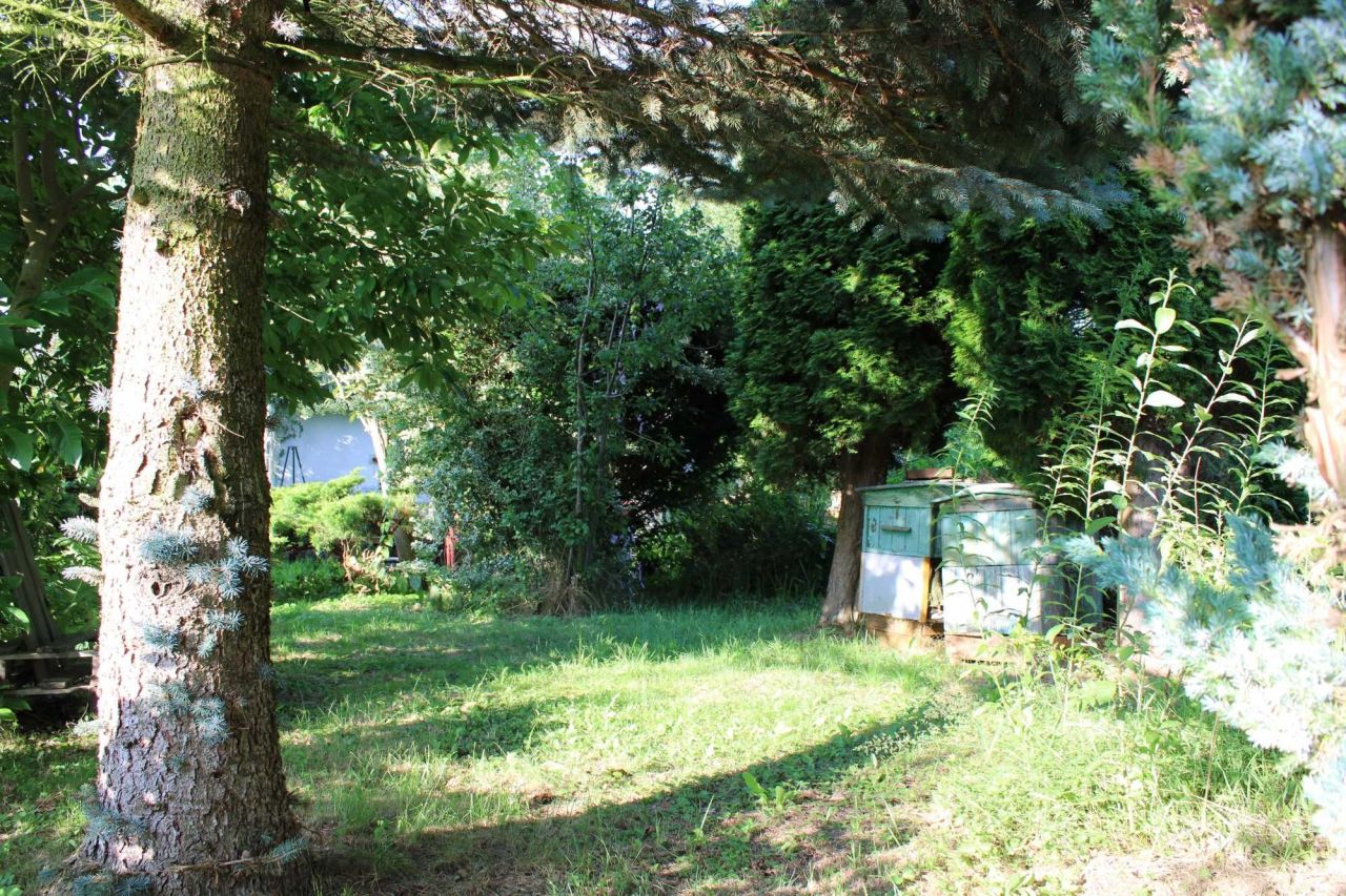 Działka rod Piła, ul. Koszycka. Zdjęcie 2