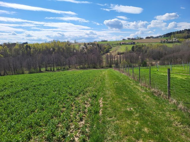 Działka rolno-budowlana Bronkowice. Zdjęcie 1