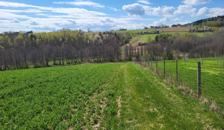Działka rolno-budowlana Bronkowice