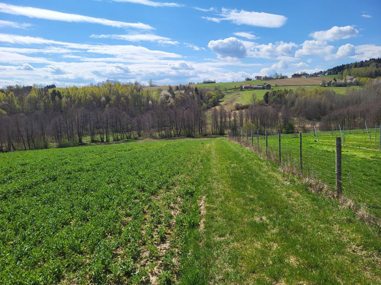 Działka rolno-budowlana Bronkowice. Zdjęcie 1