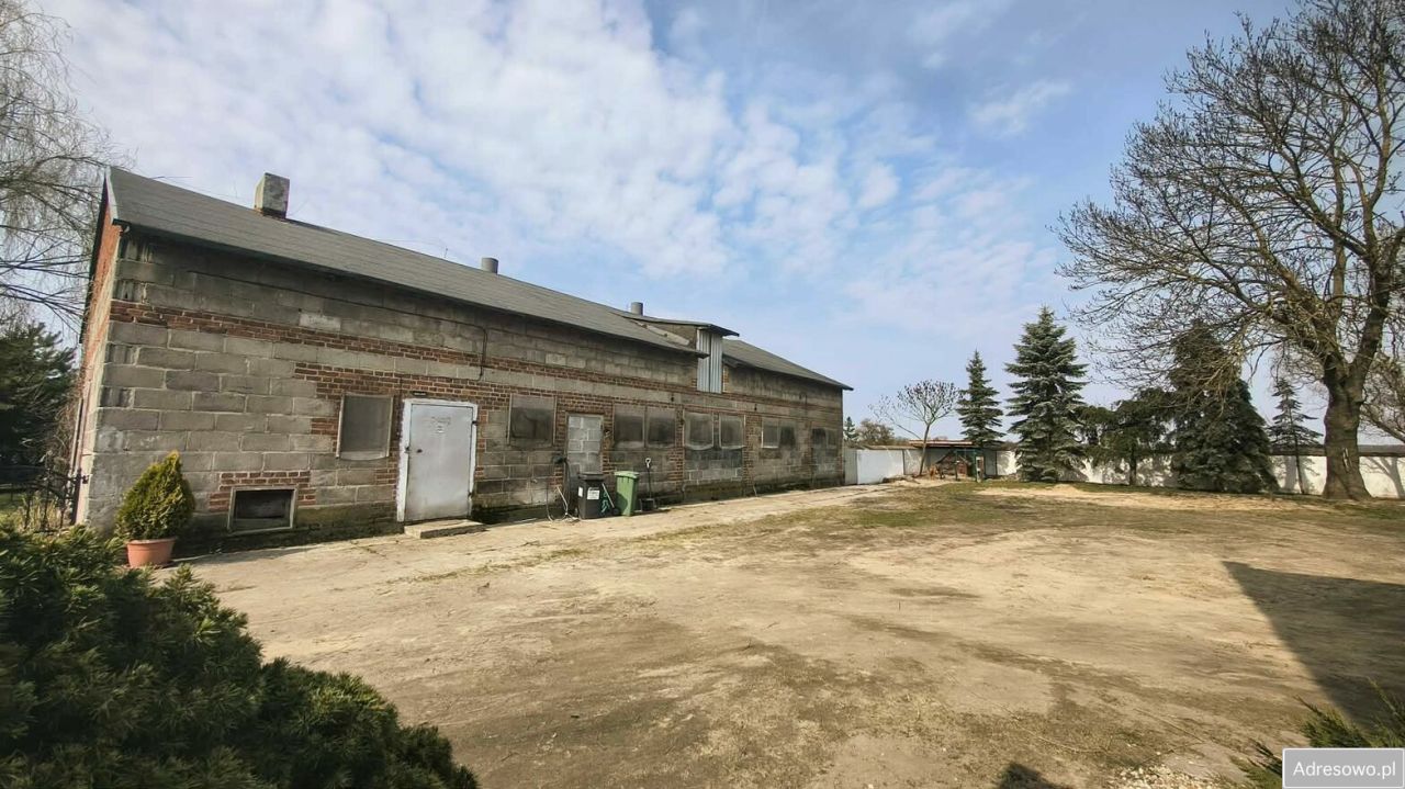 siedlisko, 5 pokoi Podkiejsze Poddębno. Zdjęcie 7