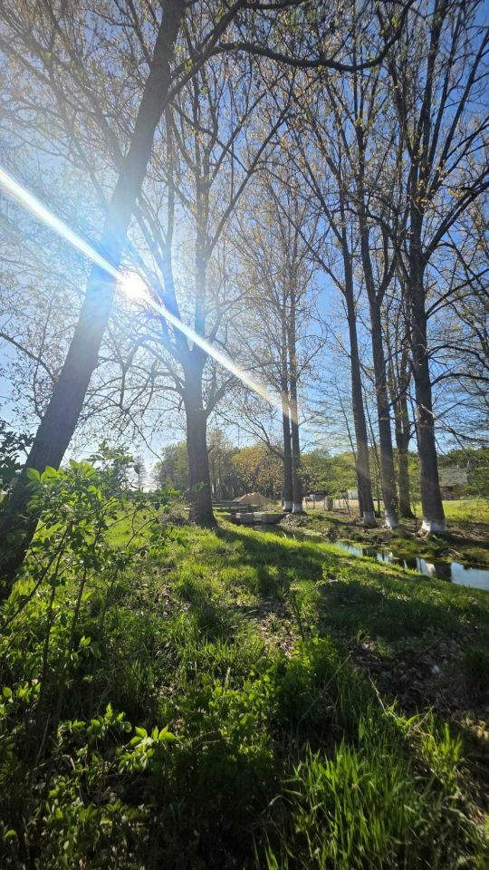 Działka budowlana Obra. Zdjęcie 8