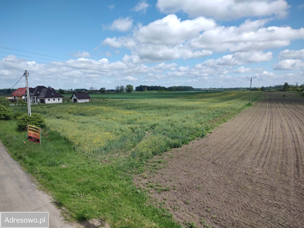 Działka siedliskowa Wilczków. Zdjęcie 1