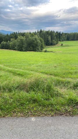 Działka budowlana Zasadne. Zdjęcie 1