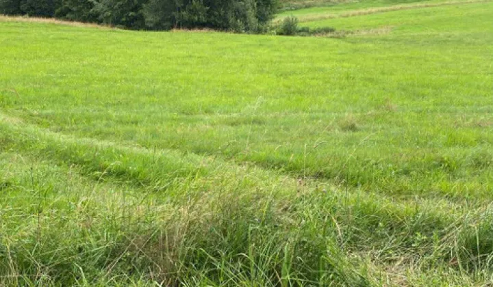 Działka budowlana Zasadne