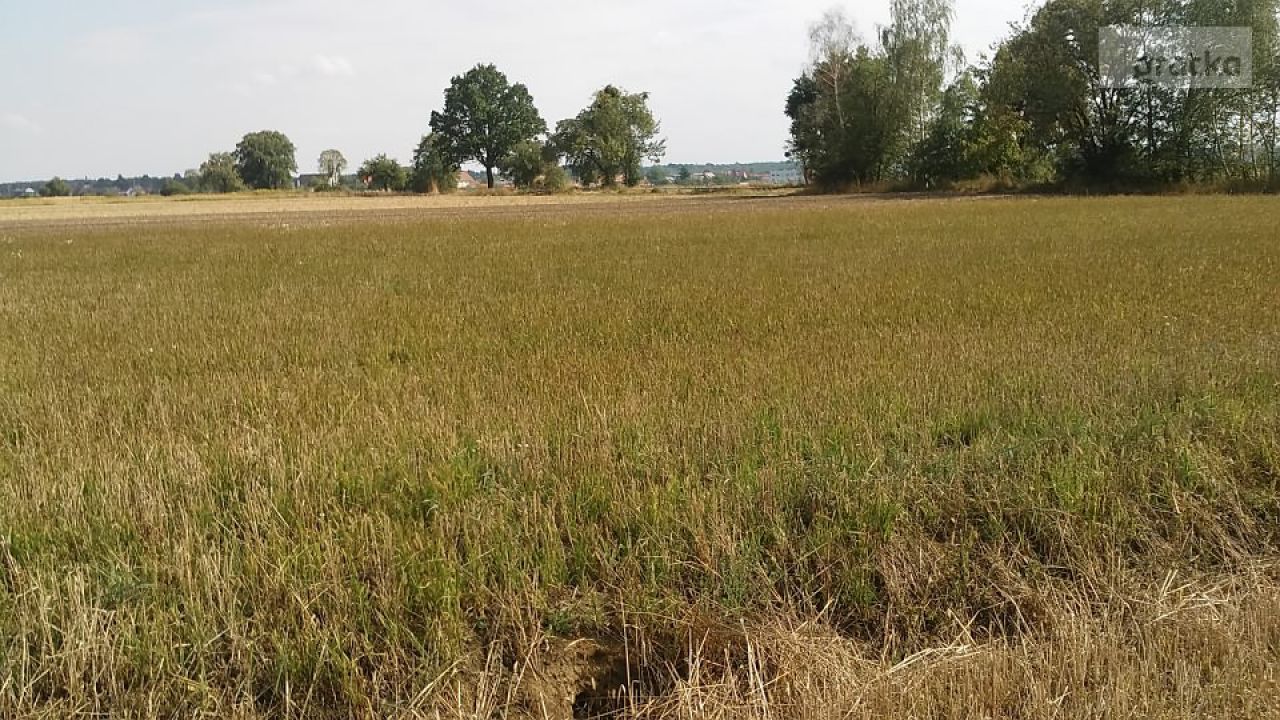 Działka rolna Byków. Zdjęcie 5